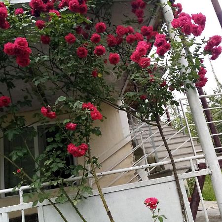 Mti House 호텔 Kvesheti 외부 사진