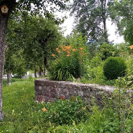 Mti House 호텔 Kvesheti 외부 사진